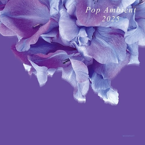 Various Artists: Pop Ambient 2025 { Vinyl }