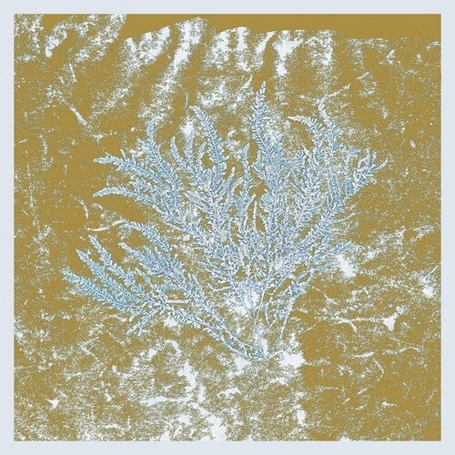 Huerco S: For Those Of You Who Have Never (And Also Those Who Have) { Vinyl }