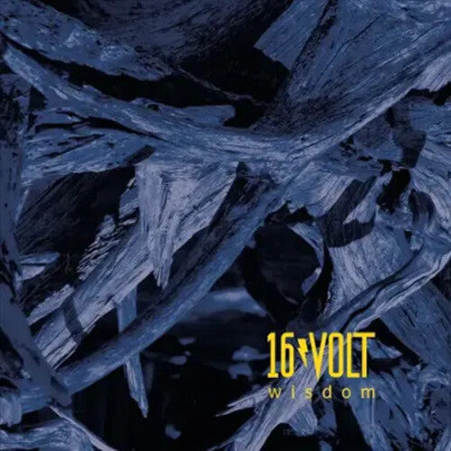 16Volt: Wisdom { Vinyl }
