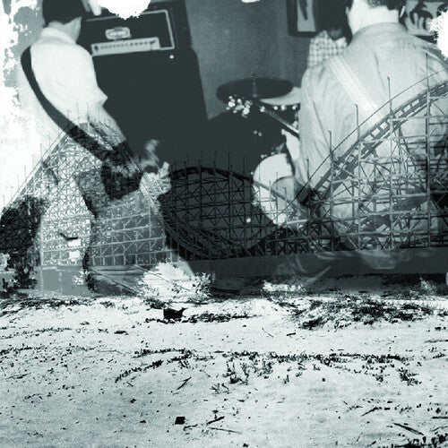Nuzzle: Follow, for Now { Vinyl }