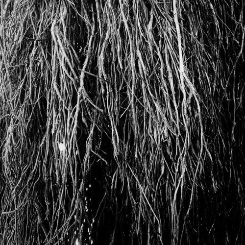 Eraldo Bernocchi: Nocturnal Rainforest { Vinyl }