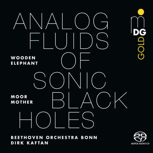 Moor Mother: Analog Fluids of Sonic Black Holes { Vinyl }