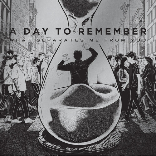 Day to Remember: What Separates Me From You { Vinyl }