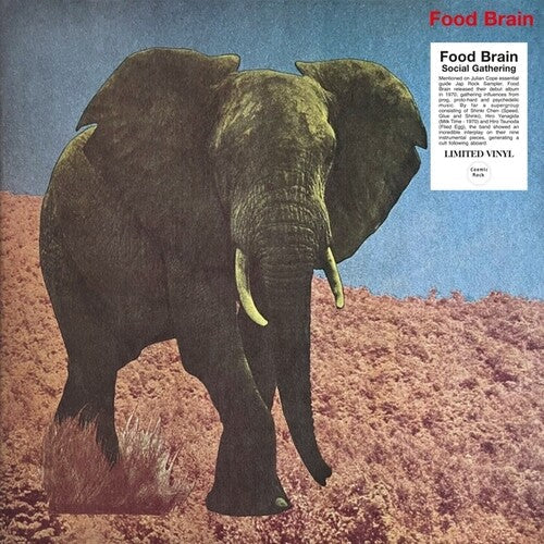 Foodbrain: Social Gathering { Vinyl }