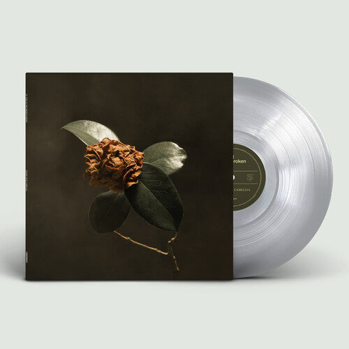 St. Paul & the Broken Bones: Young Sick Camellia { Vinyl }