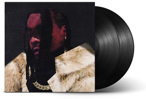Wale: Everything Is A Lot. { Vinyl }