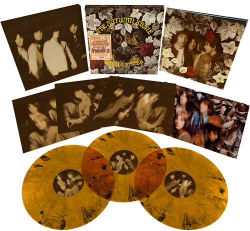 The Small Faces: The Autumn Stone { Vinyl }
