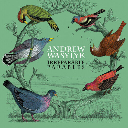 Andrew Wasylyk: Irreparable Parables - Pink Vinyl { Vinyl }