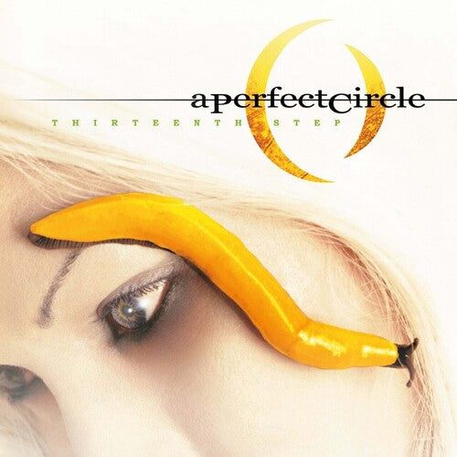 A Perfect Circle: Thirteenth Step { Vinyl }