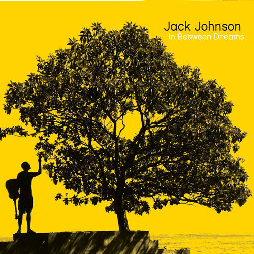 Jack Johnson: In Between Dreams { Vinyl }