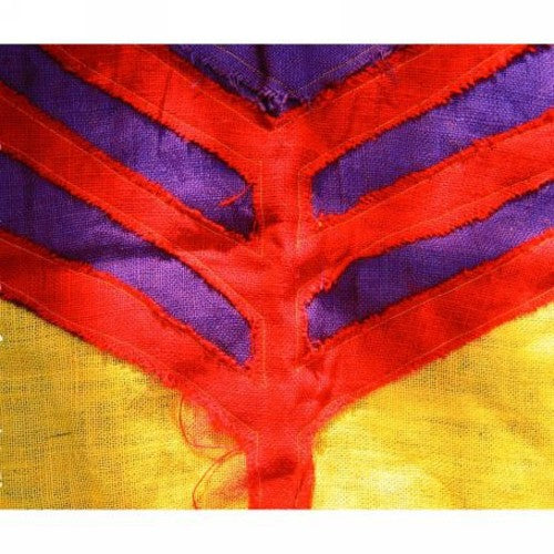 Yeah Yeah Yeahs: Show Your Bones { Vinyl }