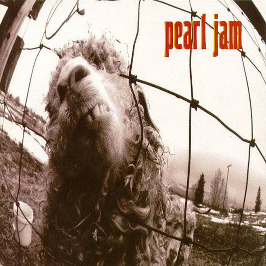 Pearl Jam: VS. { Vinyl }